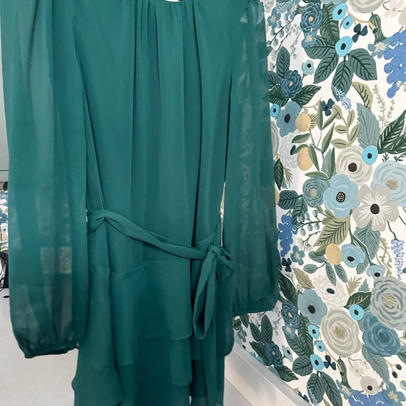 EXPRESS Long Sleeve Tie Waist Tiered Ruffle Fit And Flare Dress Small Green - Picture 5 of 14